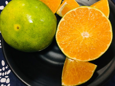 乡村鲜味 西瓜地的多季蔬果摄影指南